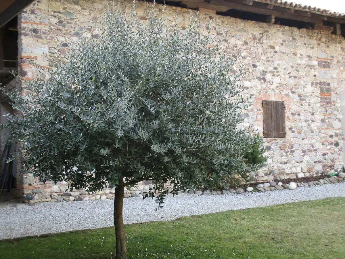 La Corte Di Ottorina Pederobba